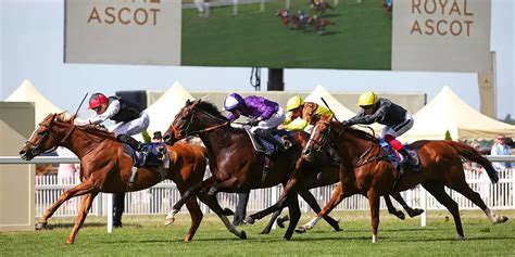 best royals bookmakers|Royals Betting: The Best Royal Family Online Bookmakers 2024.